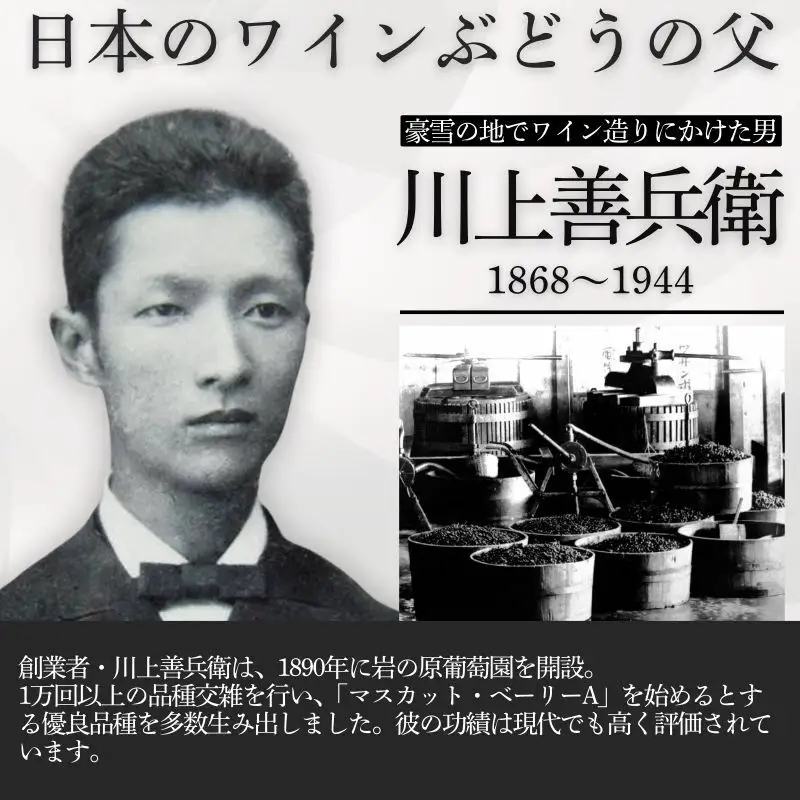 ワイン サクラアワード2024 銀賞 岩の原ワイン 善 赤 12本 720ml 最短3日で発送
