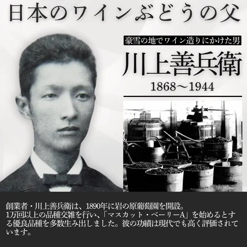 ワイン サクラアワード2024 ロゼワイン賞 ダブルゴールド 岩の原ワイン 善 ロゼ 12本 720ml お酒 岩の原 酒 新潟 上越  最短3日で発送