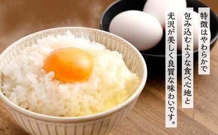 【令和7年産】 精米 食味鑑定士厳選 夢つくし 20kg（5kg×4袋） 米 こめ コメ お米 単一原料米