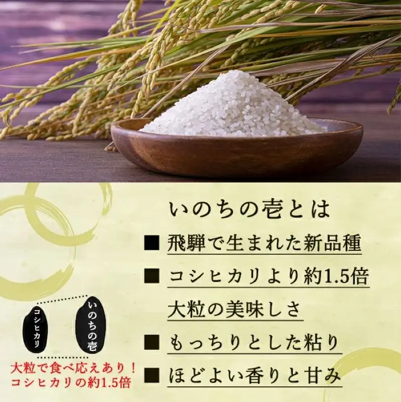 定期便 4ヶ月 ベストファーマーズ賞受賞 いのちの壱 白米 5kg 無農薬 令和7年産 米 お米 チャック付 チャック 小分け  産地直送 長野 定期 4回