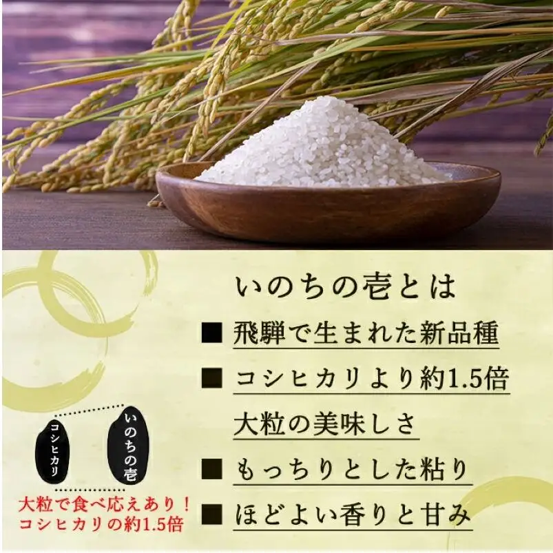 定期便 6ヶ月 ベストファーマーズ賞受賞 いのちの壱 白米 5kg 無農薬 令和8年産 米 お米 チャック付 チャック 小分け  産地直送 長野 定期 6回