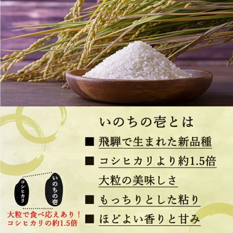 定期便 12ヶ月 ベストファーマーズ賞受賞 いのちの壱 白米 5kg 無農薬 令和8年産 米 お米 チャック付 チャック 小分け  産地直送 長野 定期 12回