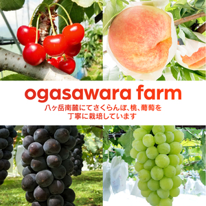 赤ワイン・グリワイン 2本セット　ワイン 750ml 2本 セット 辛口 数量限定 アルコール 10％ 8％ マスカットベーリーA 飲み比べ ご褒美 肉料理 パスタ 魚料理 マリネ 酒 国産 記念日 贈り物 ギフト 山梨県 北杜市 小笠原ワイナリー 小笠原ファーム [h086]