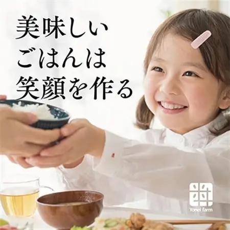おいしいお米(5kg) 無洗米 リピーター続出 きぬむすめ【1184608】