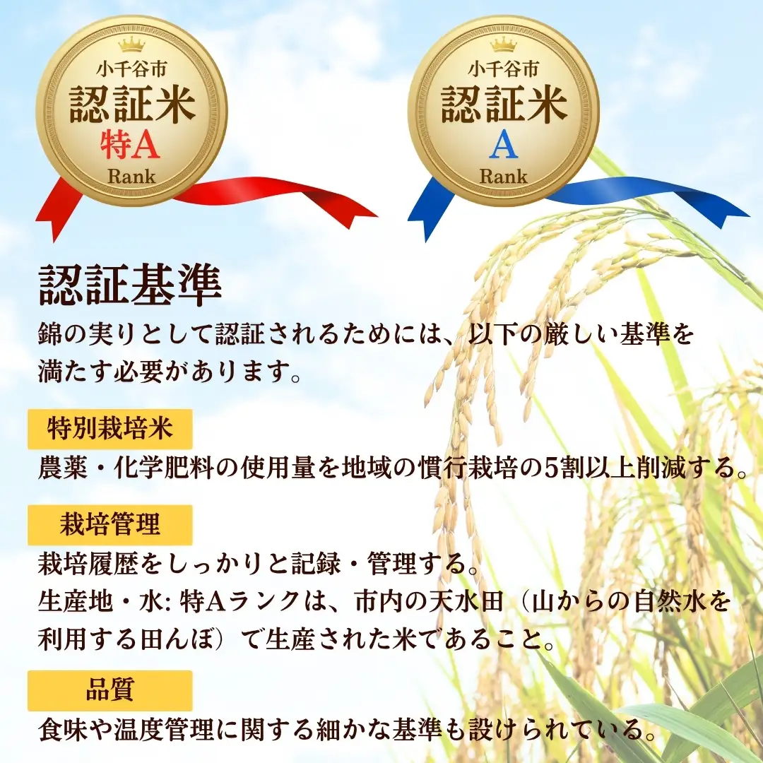 令和7年産 魚沼産コシヒカリ ブランド認証米「錦の実り」特AランクとAランク 食べ比べ10kg(5キロ2袋) | 新潟県産 コシヒカリ 