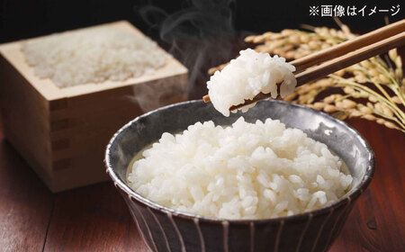 【令和7年度産】無洗米 夢つくし 5kg 精米 [BGBV013]