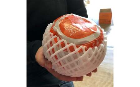 特産荒尾ジャンボ梨3個 約3kg 【2026年10月上旬発送開始】 果物 フルーツ なし 梨 くだもの