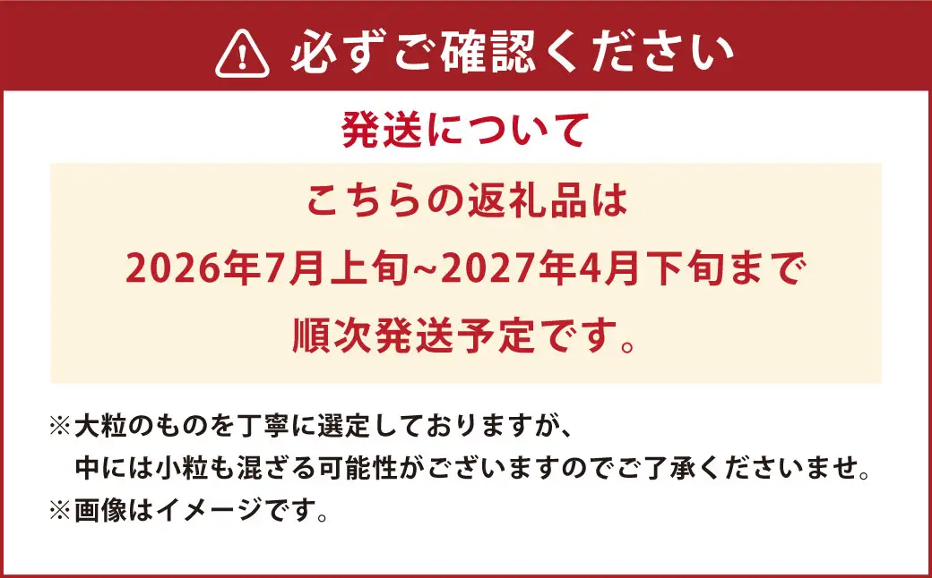熊本県産 大粒 冷凍ブルーベリー 1kg（500g×2パック） フルーツ 果物 くだもの 冷凍 ブルーベリー 国産 【2026年7月上旬発送開始】