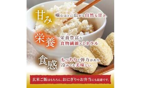 玄米 先行予約 ※6ヶ月定期便※ 葛城山麓米 ヒノヒカリ（玄米）10kg ×6ヶ月 令和8年産 【2026年11月・12月・2027年1月・2月・3月・4月発送】【smlk-tkb012】
