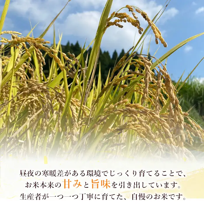 鹿児島県産ひのひかり(5kg) 【薪屋 薪の助】 A960-v01