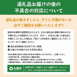 旬のフルーツ定期便 2回 Bコース フルーツ 定期便