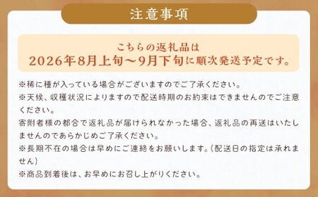 先行予約 シャインマスカット 約1,050g ぶどう 葡萄 ブドウ マスカット 果物 フルーツ 【2026年8月上旬～9月下旬発送】