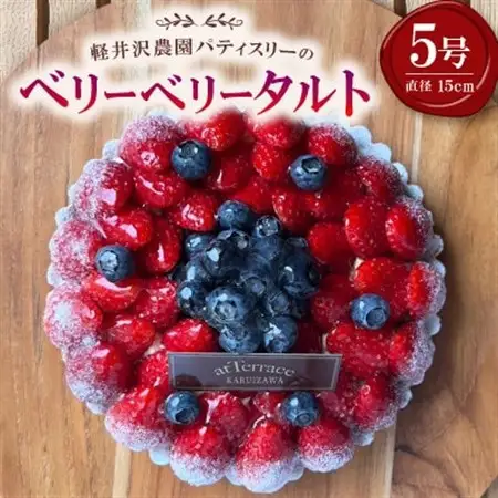 【毎月定期便】軽井沢の農園パティスリー 人気ブルーベリータルト・チーズケーキの3点セット全3回【配送不可地域：離島】【4080208】