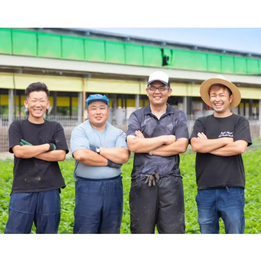 だいじょ豚　ロース300g・バラ200g×2　しゃぶしゃぶセット　約5～6人前　極だし・きざみ昆布付【配送不可地域：離島・沖縄県】【1704899】