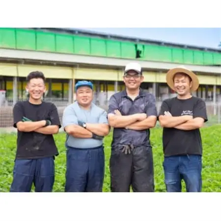 創業70年 牧場経営・老舗精肉店の「だいじょ豚」切り落とし計800g(200g×4袋)　小分け【配送不可地域：離島・沖縄県】【1704905】