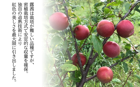 梅農園ジャム 100g×3個 ｜ 梅ジャム 無添加 相馬アグリ