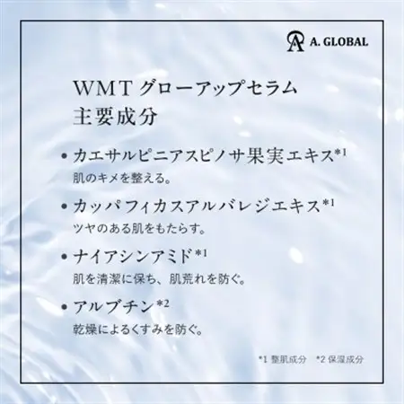 WMT GLOW UP SERUM　(美容 スキンケア)【1705049】