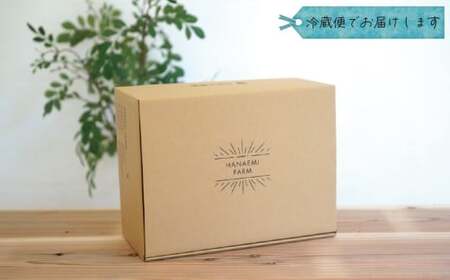 【2026年の先行予約】 花笑み農園 ぶどう 『彩り３種セット』家庭用（1.8kg） 岡山 詰め合わせ 食べ比べ 真庭市 【hana085-01】