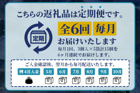 定期便【6回定期】さがん氷 丸氷 3個×5袋×6回（合計90個）H-52 藤津製氷 こおり 氷 ロック アイス 佐賀 鹿島 九州