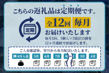 定期便【12回定期】さがん氷 丸氷 3個×5袋×12回（合計180個）N-29 藤津製氷 こおり 氷 ロック アイス 佐賀 鹿島 九州