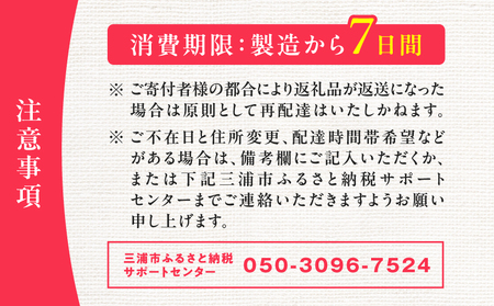 みうらみるく 飲みきりサイズ 200ml × 5本 M091-001-02 飲料