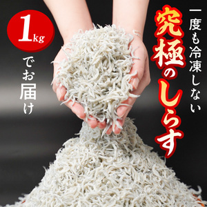 【とれたて直送】極しらす干し 1kg N065-YA4442