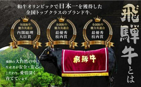 飛騨高山の誇り 飛騨牛焼肉 リブロース＆モモ合計600g 2～4人前　｜飛騨牛 ブランド PS001 　