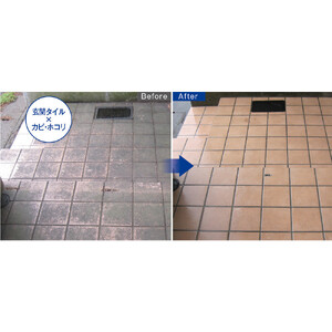 ビーオ５００ｍｌ２本セット_1330802688_00