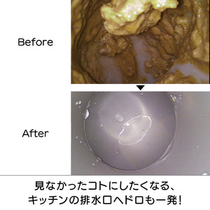 ピカットロンプロ１リットル_1245600333_00