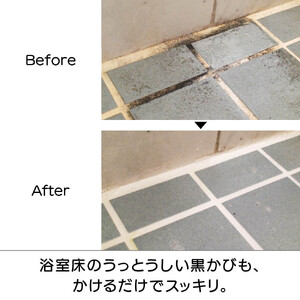 ピカットロンプロ４リットル_1245600342_00