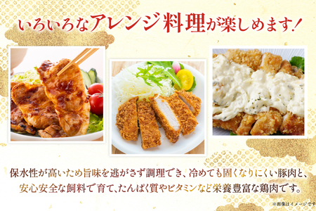 豚肉 鶏肉 宮崎県産 豚切り落とし 250g 6p カット済み 鶏もも 300g 10p 計4.5kg セット [TRINITY 宮崎県 日向市 452061321] 
