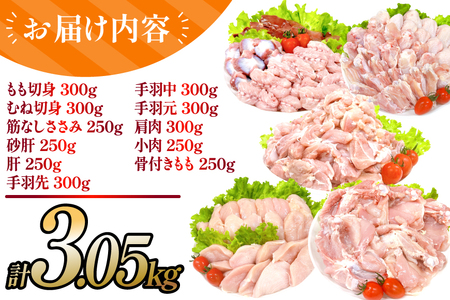 鶏肉 業務用 宮崎県産 若鶏 もも切身 むね切身 筋なしささみ 砂肝 肝 手羽先 手羽中 手羽元 肩肉 小肉 骨付きもも 計 3.05kg セット [TRINITY 宮崎県 日向市 452061335] 