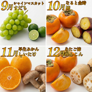 フルーツ 野菜 定期便 1回 定期