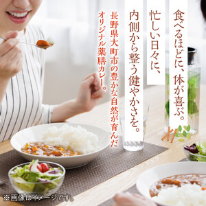 冷凍薬膳カレー　5食入り