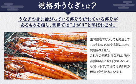 【 全12回 定期便 】 鰻 の 蒲焼 2尾（170g×2） KN026-T06 うなぎ 惣菜 総菜 魚