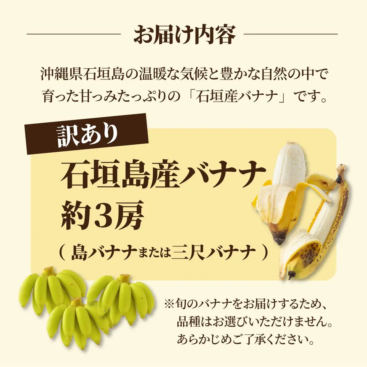 ＜訳あり＞ 大満足！石垣島産バナナ3房 
