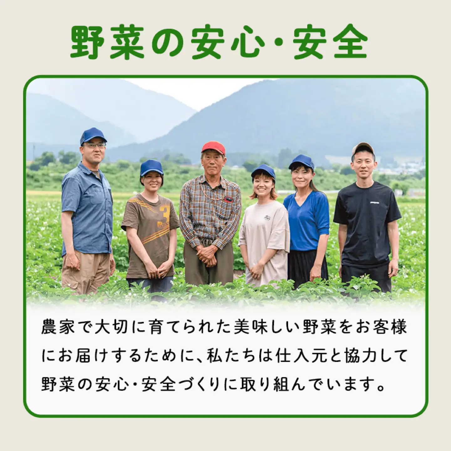 ＜ロスヘル＞多数のメディアで紹介されました！【訳あり】旬のもったいないお野菜詰め合わせセット　Lサイズ