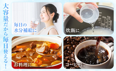 白川水源 ミネラルウォーター タンク式  20L×1ケース《30日以内に出荷予定(土日祝除く)》熊本県 南阿蘇村 物産館自然庵 水 ミネラルウォーター 飲料水 飲み水 南阿蘇