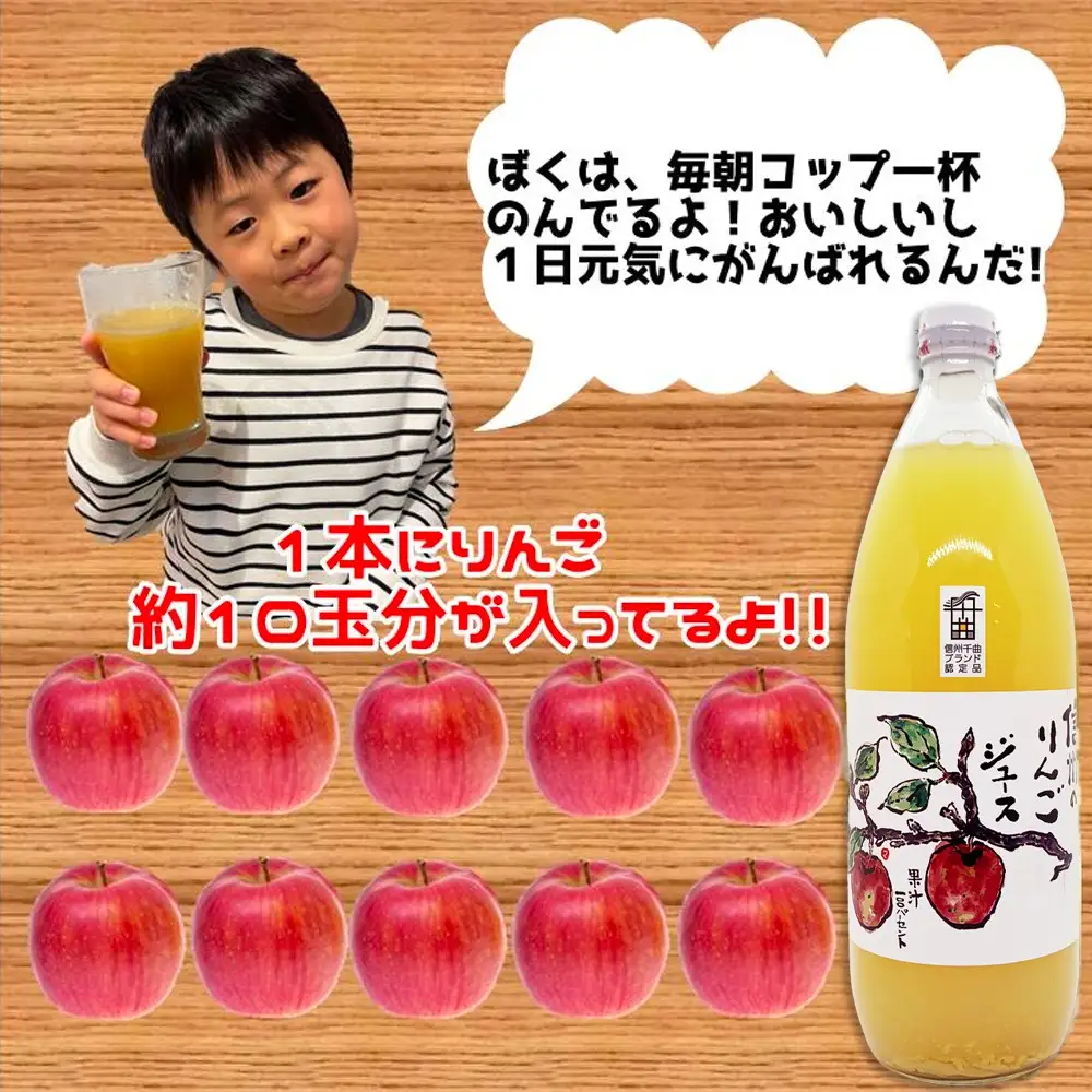 【6か月定期便】信州 サンふじ りんご ジュース 100％ 3本セット｜ りんごジュース