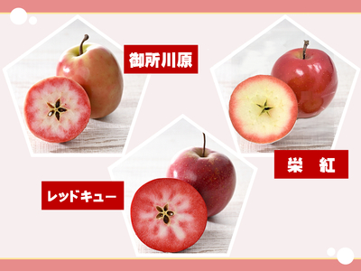 中まで赤～いりんごチップス　25g×2袋 ノンフライ【Akarin5チップス】 低温乾燥 御所川原 栄紅 レッドキュー 青森県五所川原市 おやつ