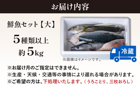 【5回お届け】【朝獲り】 鮮魚セット (大) 5種類以上 約5kg 魚 詰め合わせ 鮮魚ボックス 漁港直送 鮮魚