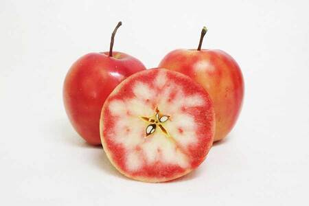 アップルティー　Akarin5Tea 1袋（5パック）りんご茶ノンカフェイン【酸っぱい】青森県五所川原市 ＡＣＴ 御所川原