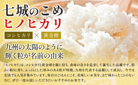 【6ヶ月定期便】令和7年産 精米 七城のこめ 8kg《30日以内に出荷予定(土日祝除く)》熊本県 菊池市 米 白米 ヒノヒカリ でんすけ農場