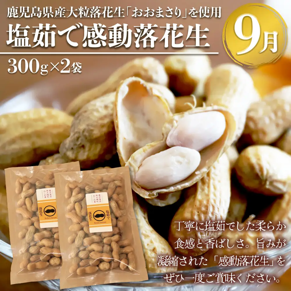 【定期便・年4回】農家の感動シリーズA(約9.1kg) FR-1｜冷凍焼き芋 ゴールドラッシュ とうもろこし 塩茹で 落花生 おおまさり ピーナッツ 芋 さつまいも 紅はるか 野菜定期便 旬 産地直送 サラダ 南大隅町