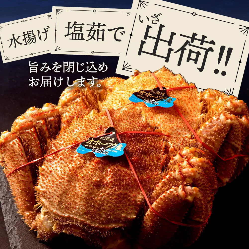 ☆北海道産 毛ガニ 約500g×1尾