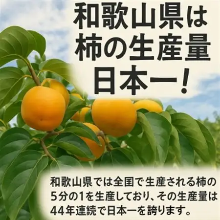 柿【先行受付】柳フルーツ園(訳あり)たねなし柿 約7.5kg_柿　たねなし柿　橋本市産柿　渋柿_【1077001】
