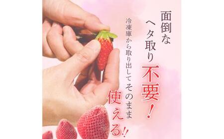 【ふるなびWEEK対象】いちご 冷凍 古都華 約4kg [250g×16パック] 葛城市【smlk033-week】