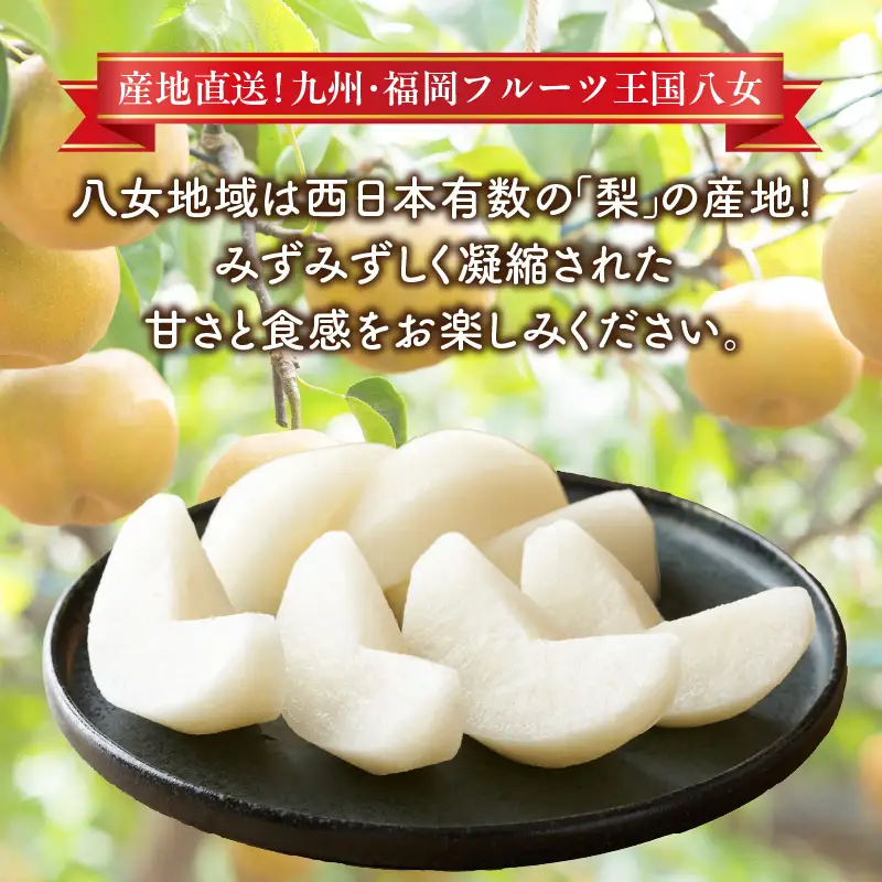 九州・福岡フルーツ王国八女 産地直送！梨(豊水）6玉｜＜配送不可：北海道・沖縄・離島＞ なし ナシ 果物 果実 フルーツ 先行予約 デザート 旬 新鮮 甘い 甘み ジューシー みずみずしい 果汁 国産 お試し 季節限定 冷蔵配送 秋の味覚 福岡県 八女市 072-342