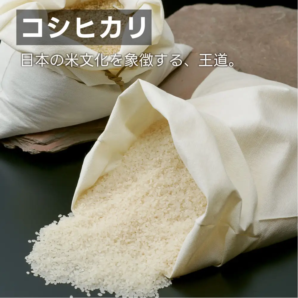 南魚沼 塩沢産 コシヒカリ パックご飯 150g 24パック