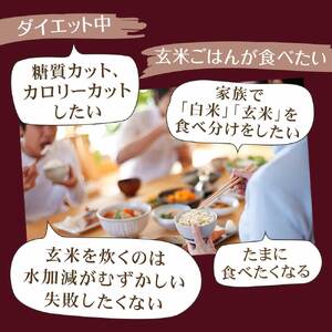玄米ゼンライス 20パック 伊豆河童 レンチン 玄米パック ご飯 玄米 パック ごはん 玄米ご飯 こんにゃく米 低糖質 置き換え 低カロリー 米 健康食品 ダイエット 健康 食物繊維 長期保存 常温保存 糖質オフ 糖質カット